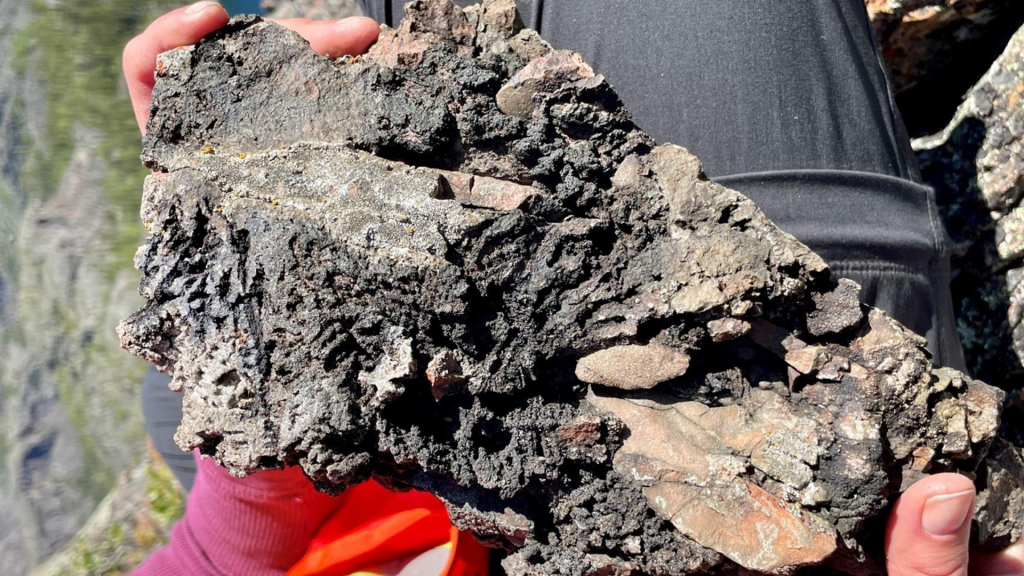 WC Minerals